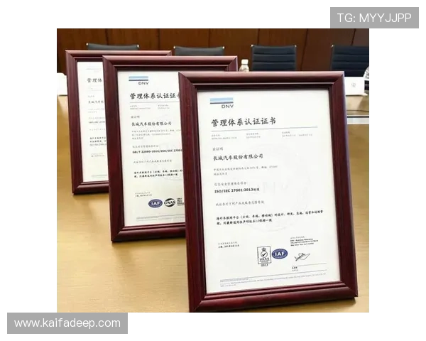 安全访问凯发网址官方地址，官方认证入口确保您的账户安全无忧