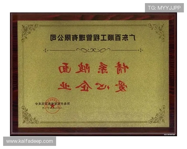 凯发k8一触即发怎么样总结平台的行业口碑与合作伙伴信誉